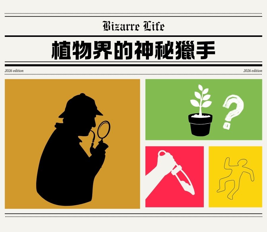 植物界的神秘獵手