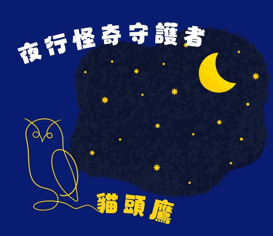 夜行怪奇守護者：貓頭鷹