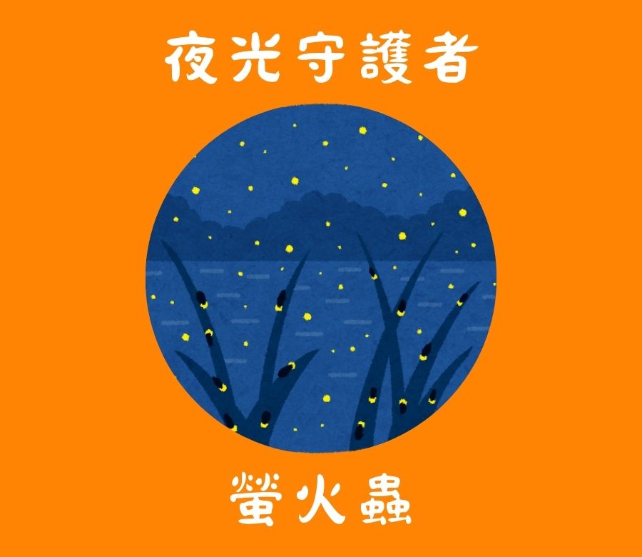 夜光守護者：螢火蟲