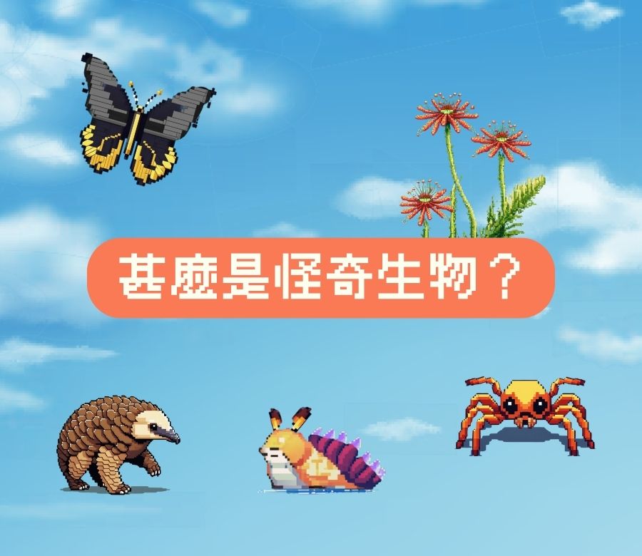 甚麼是「怪奇」？